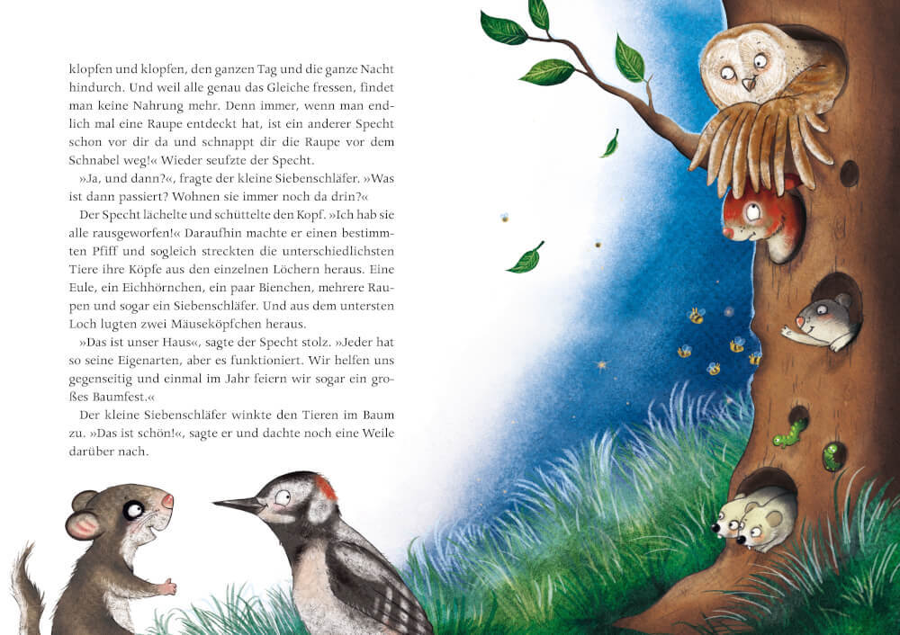 Thumbnail - Der Kleine Siebenschläfer: Eine Schnuffeldecke Voller