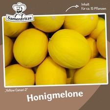 Honigmelone Canari 2 Yellow Samen für ca. 15 Pflanzen - ertragreiche Sorte