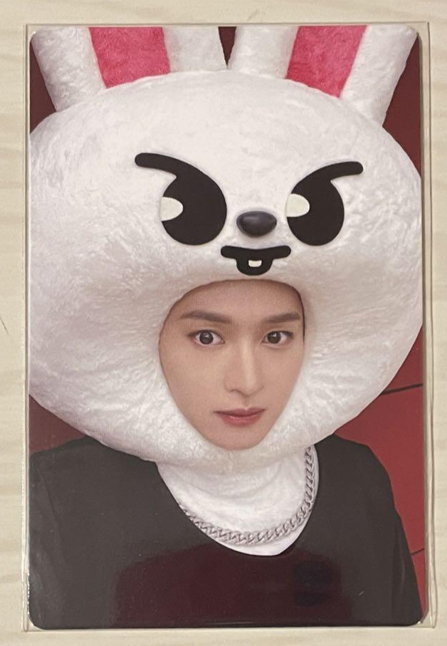 Stray Kids Photocard MAXIDENT JYP shop POB Official – Choose
