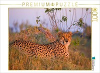 Calvendo Puzzle Cheetah, Masai Mara, Kenya. | 1000 Pieces, Finished Size 25.2 ×