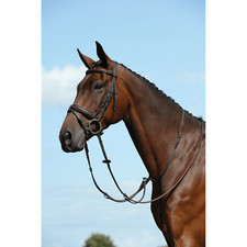 Collegiate Syntovia+ Plain Flat Running Martingale - Brown