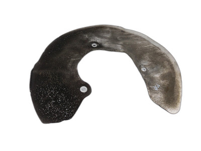 Ankerblech Schutzblech Bremse vo re für BMW F40 M135i 19-25 5T 34106877548 81tkm