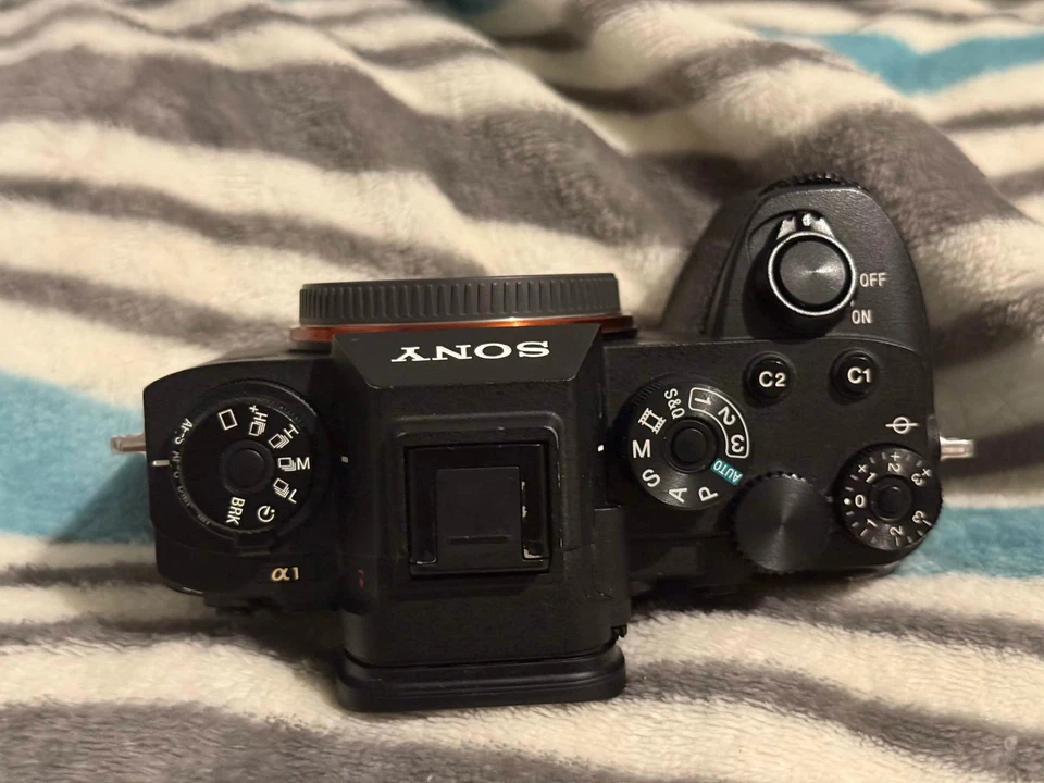 Sony Alpha 1, photo 4 of 5