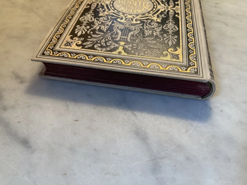 Beautifully Decorated German Hardcover Book 1879 K & W Oppel Condichter Ulbum VG - Image 4 of 4
