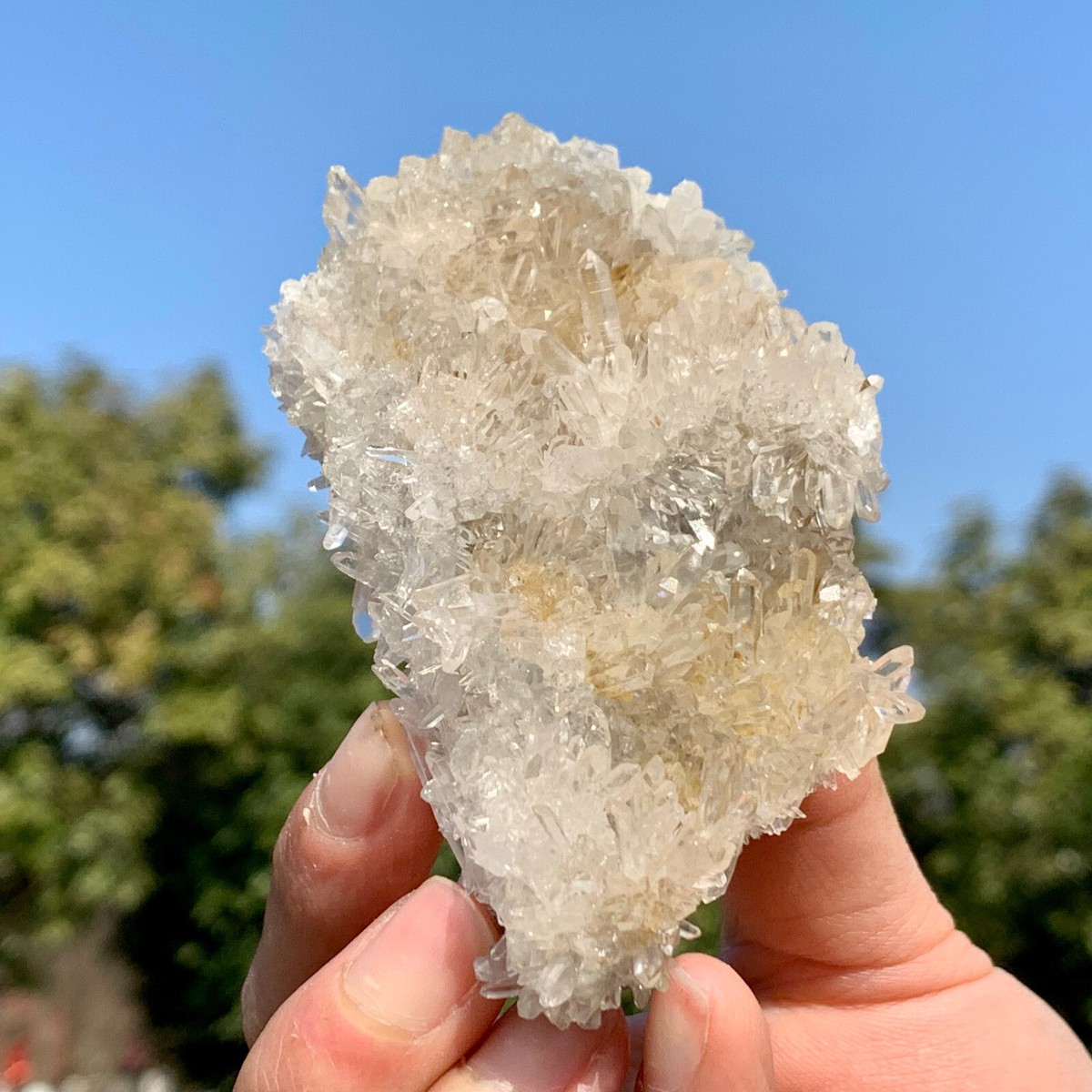 126G Clear Natural Beautiful White Chrysanthemum QUARTZ Crystal