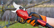 Forbici Cesoie Elettrica a Batteria con Zaino AUSONIA ELECTRA per Potature Pota