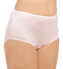 Teri 331 Full Cut Nylon Brief Panty - 4 Pack