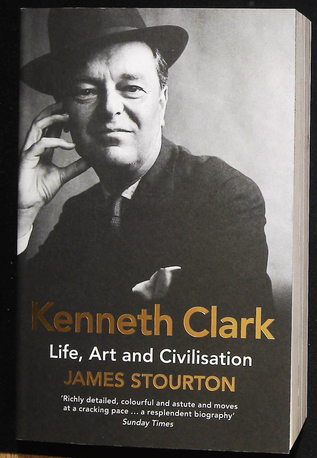 Kenneth Clark Life, Art and Civilisation by James Stourton Book New (Paperback)