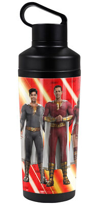 Shazam! Fury Of The Gods Family Group Shot 18oz Insulated Water Bottle