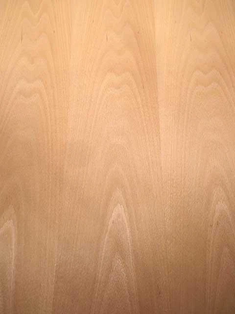 Chapa de haya madera chapa de haya reforzada con vellón 250x60-62cm