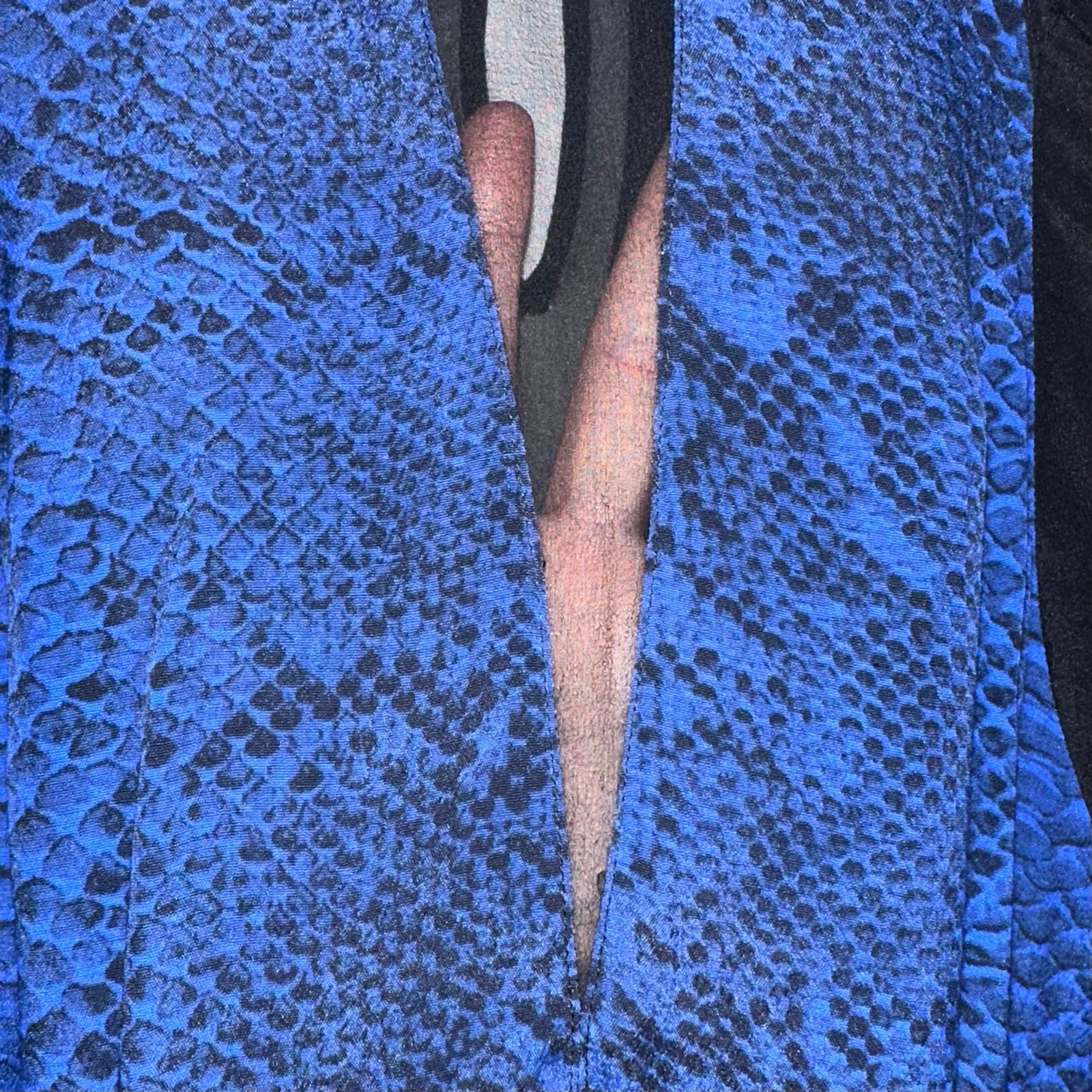 Rebecca Taylor Python Silk Combo Cobalt Blue Spli… - image 4