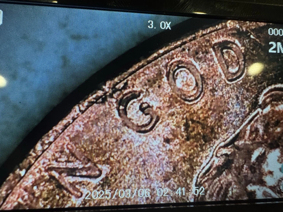 2025 D Lincoln Cent DDO DDR Error - Image 4 of 4