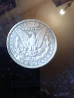 1891 cc morgan dollar