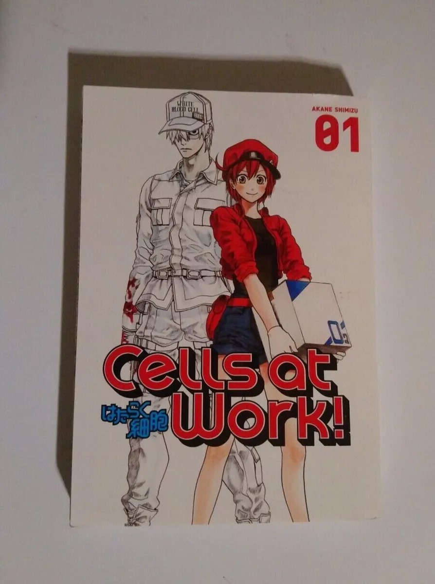 Cells at Work!, Vol. 3 by Akane Shimizu