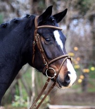 Waldhausen X-line Cob Bridle