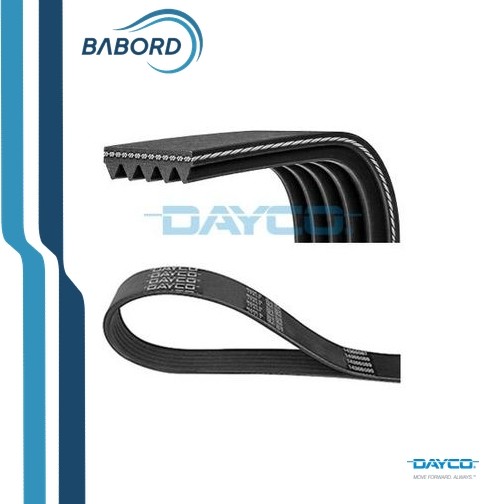 DAYCO 5PK1150S Cinghia Poly-V - Immagine 2