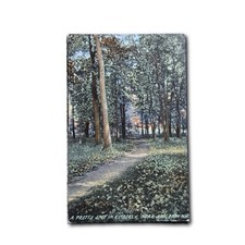 Postcard A Pretty Spot In Kimberly Near Appleton Wisconsin Nature Trail G535