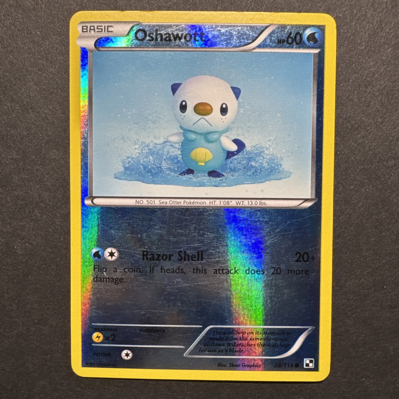 Pokemon TCG Oshawott (28) - Black and White Reverse Holofoil MP