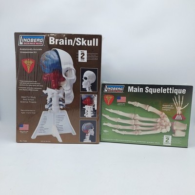 2 Lindberg Model Kits - Brain & Skull 71306 Hand Bones 71313 New In Box