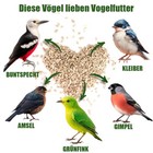 Bild 5 von 6