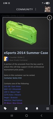 CS:GO/2 CASE