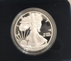 2014-W $1 Proof American Silver Eagle w/Box. 1 oz  .999 Silver. NO RESERVE!