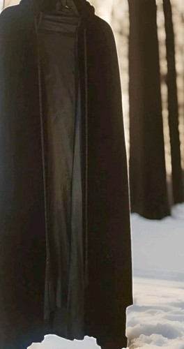 Vintage Coco Velvet Hooded Cape Tasseled Wizard's  Vampire Theater STUNNING 