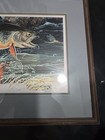 Framed Signed Print Peacock Bass Dan Perotti Wildlife Art Painting — photo 6