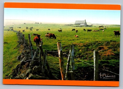 Postcard Paturage esprit de la terre 1980s 4x6 V21