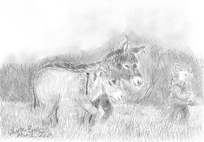 Two Donkeys (small) and Child Walking Pencil Sketch By Sharon Louise Brooks