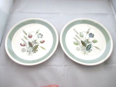  Vintage 2 x verschiedene Alter Untertassen Clovelly Muster Enoch Woods Ware England