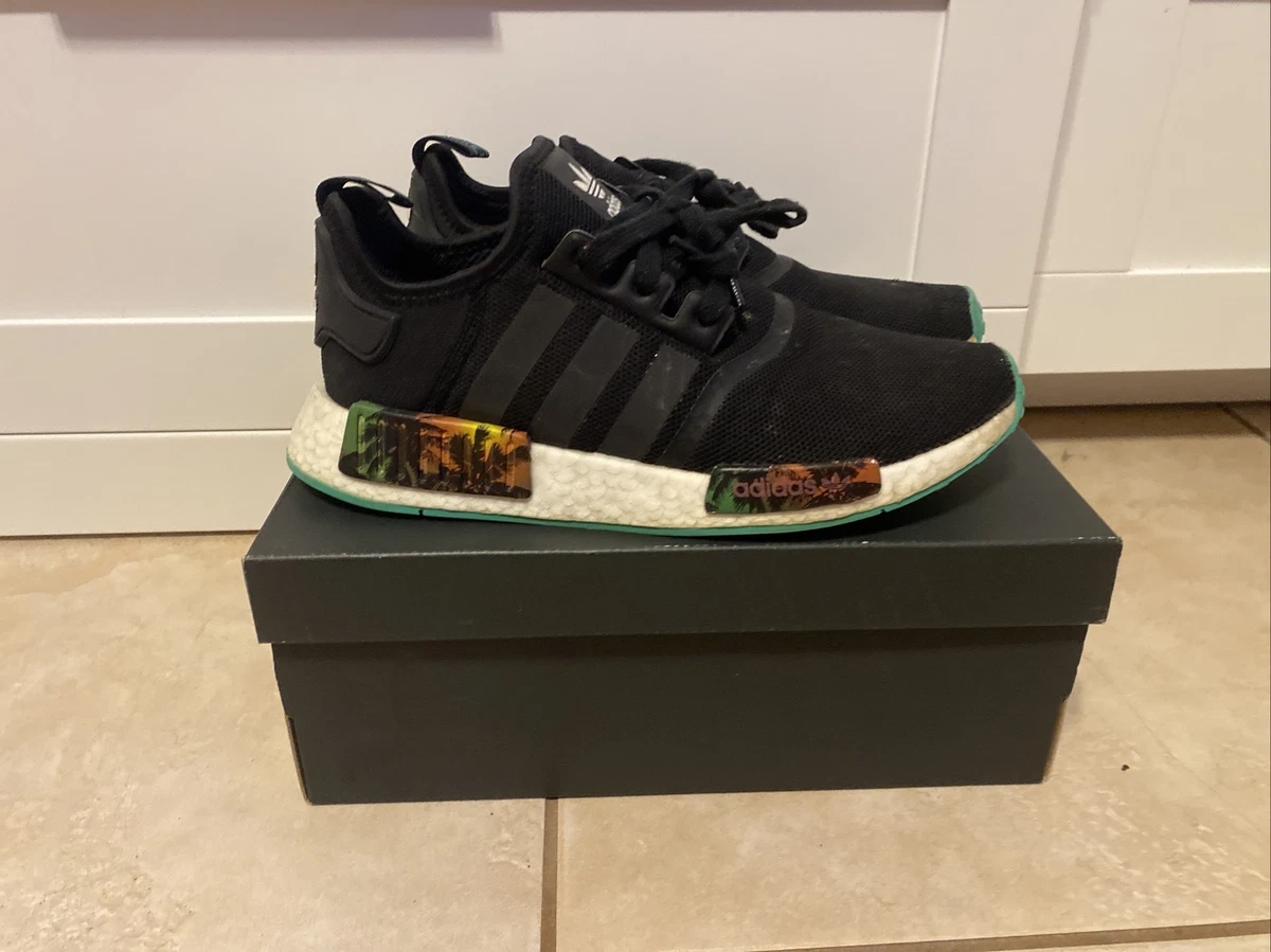 nmd palm tree