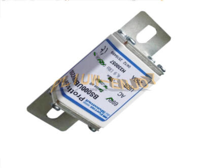 NEW 1PCS Ferraz Shawmut Fuse 250A 690V BS000UB69V250