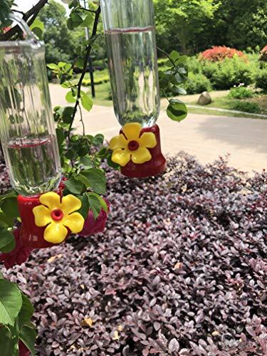 4 Pack Mini Hummingbird Feeders for Outdoors Hanging- 2.3oz Small Bird Feeder