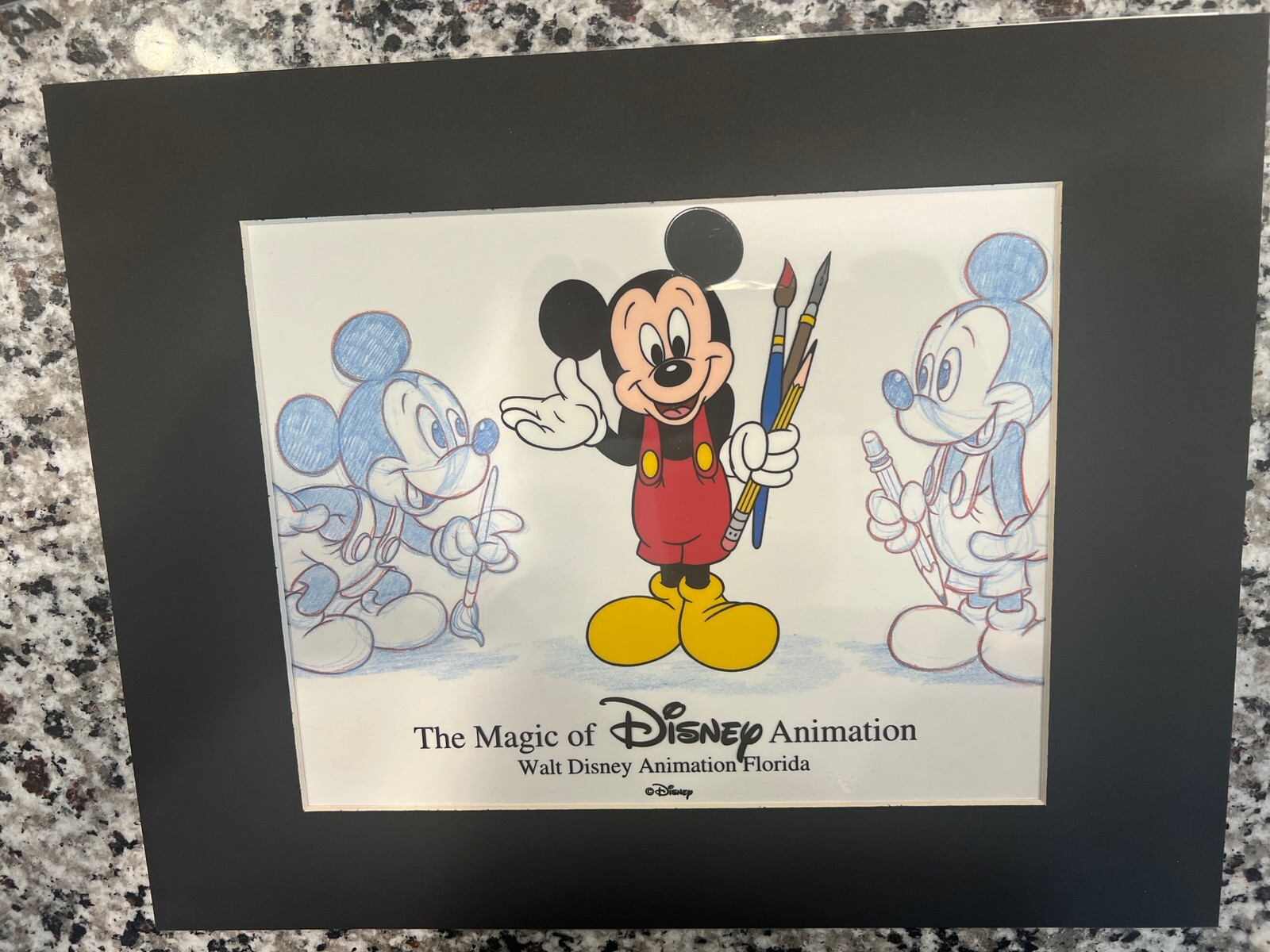Rare The Magic Of Disney Feature Animation Florida 1996 Mickey Mouse ...