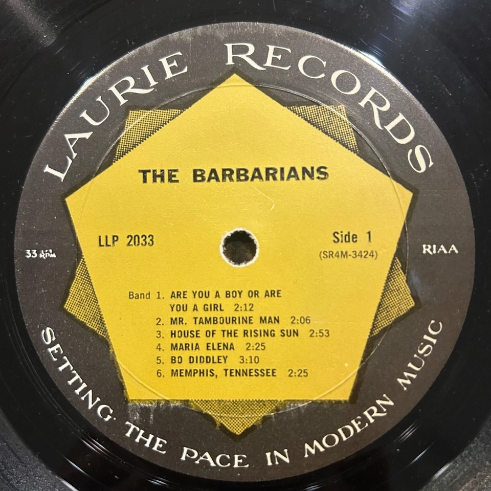 The Barbarians - Are You A Boy Or Are You A Girl LP - Laurie [LLP 2033] VG+/VG+ - Image 3 of 4