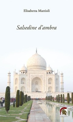 Elisabetta Mattioli Salsedine d ambra (Paperback) (UK IMPORT)