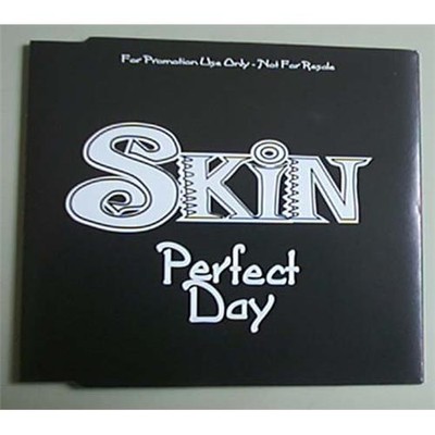 SKIN PERFECT DAY CD SINGLE 1 TRACK PROMO + P/S UK