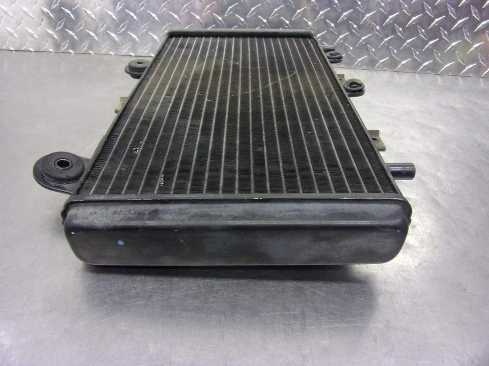 584 A TRIUMPH  TIGER  955 955i 2002 OEM   RADIATOR - Image 2 of 4