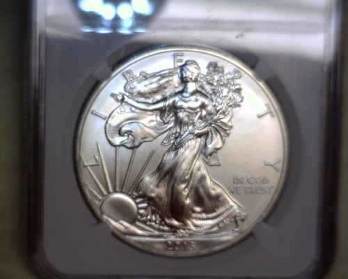 2013-W  SILVER EAGLE  1 OZ. PURE SILVER  GRADED BY NGC IN MS70