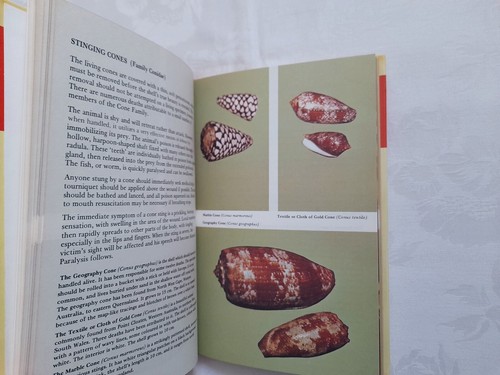 AUSTRALIAN SEA SHELLS ~ A Guide To Collecting by SHARMAN N STONE (Hdbk, 1991) - Picture 9 of 9