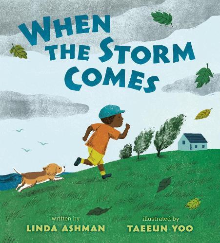 Thumbnail - Linda Ashman When The Storm Comes (gebundene Ausgabe)