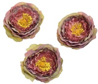 Pack Of 6 Wedding Favor Vintage Flower Head Artificial 3.8 Inch Silk Peony He... on sale Pack Of 6 Wedding Favor Vintage Flower Head Artificial 3.8 Inch Silk Peony He... on sale