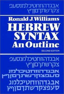 Hebrew Syntax : An Outline Paperback R. J. Williams