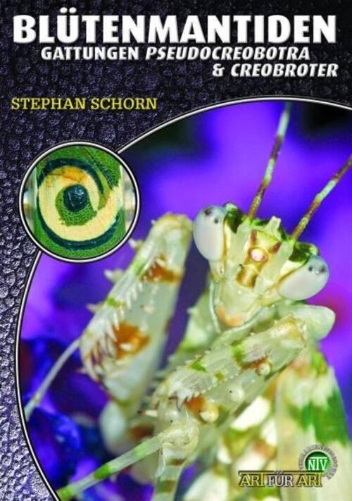 Thumbnail - Blütenmantiden (gattungen Pseudocreobotra & Creobroter), | Stephan