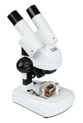 Celestron Labs S20A abgewinkeltes Stereo beleuchtetes Mikroskop #44137 (UK-Bestand) Neu in OVP