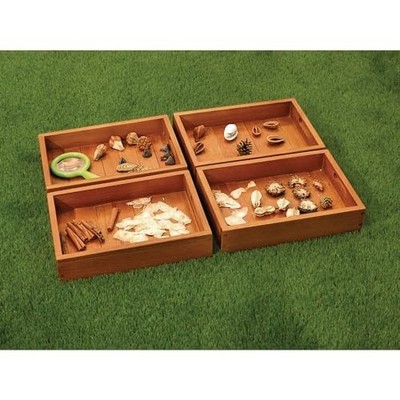 Outdoor Sorting Trays Set 4 Learning Sensory Play Eucalyptus Educational Class