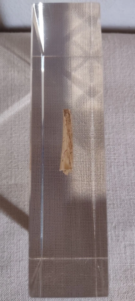 Fragmento de hueso de oráculo chino antiguo recubierto 4,5" X 3" Foto 4 de 4