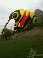 3D 7 Sqm 1 Line yellow Stunt Parafoil Trilobites POWER Sport Kite outdoor toy