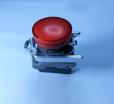 Schneider Electric XB4BVM4 220V Red LED Pilot Light – Protected, New